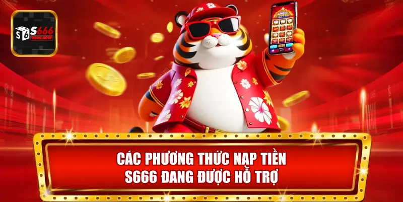 Bao gồm chuyển khoản ngân hàng, ví điện tử và các cổng thanh toán trực tuyến phổ biến.