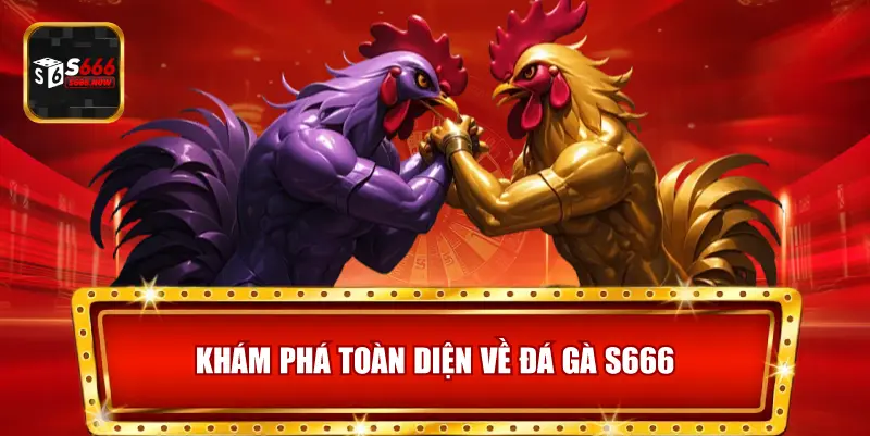 Giới thiệu luật chơi, cách đặt cược và các trận đấu nổi bật tại Đá Gà S666.